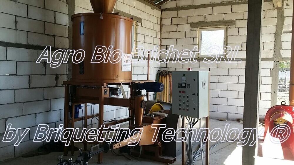 Briquetting line in Poiana Mare